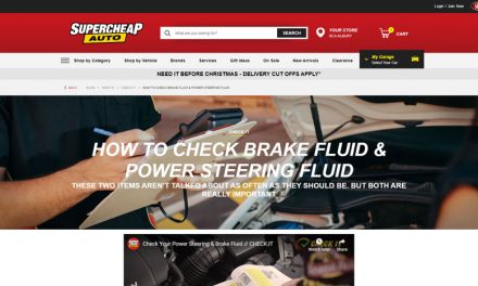 Brake Fluid and Power Steering